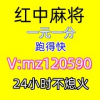 哪里找一元一分红中麻将群洁净