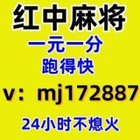 必看红中癞子麻将群24小时不熄火