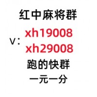 谁有广东红中一元一分麻将群【杨穿三叶】