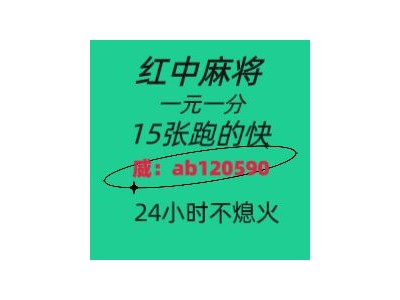 异彩纷呈广东一元一分红中麻将群2024已更