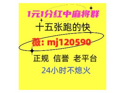 我这里24小时红中麻将群