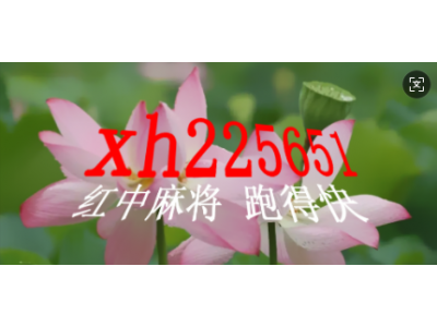 广东红中麻将一元一分/2025@已更新《QQ》