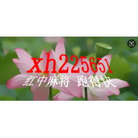 广东红中麻将一元一分/2025@已更新《QQ》