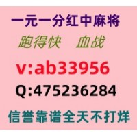 摘叶飞花一元一分红中麻将 血战 跑的快加入亲友圈