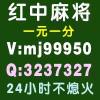 【盘点一下】一元广东红中赖子麻将群【5分钟教程】