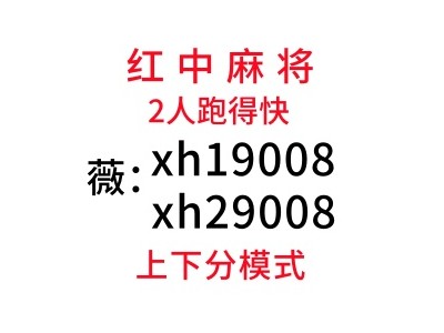 【2025最新】 怎么找红中麻将群跑的快群