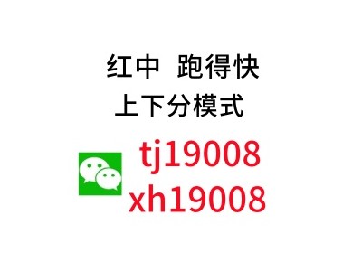 （最新上线）本地1块微信群跑得快