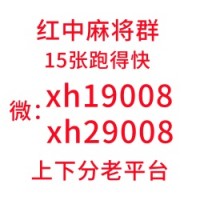 谁要进5毛一块红中麻将微信群【领先】