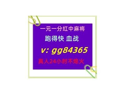 （简单上手）一元一分爆火跑得快血战麻将真人活跃上下分