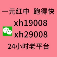 （来了解）大家找1块1分微信跑的快（认真）