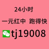 【必看教程】谁要进5毛一块红中麻将微信群（总结）