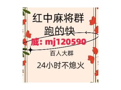 中国网24小时真人红中麻将群冬寒菜