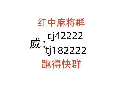 怎么找跑得快群
