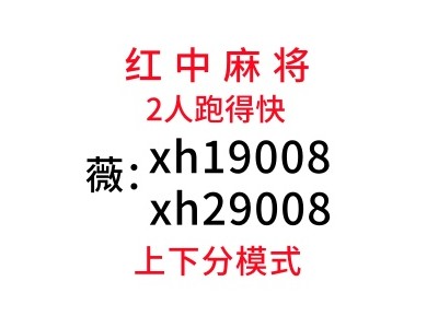 （优美）有想玩5毛一块跑的快群(全天在线）