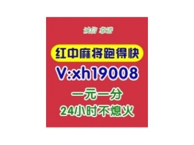 （好玩的）一块跑的快群哪里有（在线）