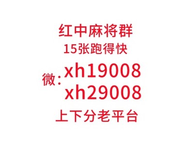 （认真）哪里有红中麻将一元一分群【必看教程】