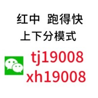 （认真）24小时一元一分跑的快群【麻将天地】