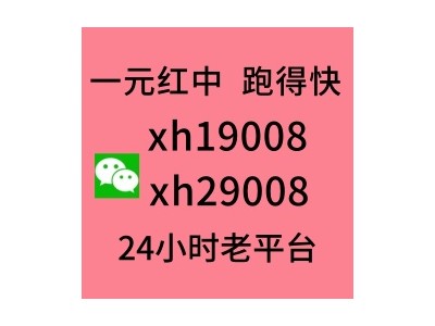 （健壮）一元一分红中麻将的加我进群（来了解）