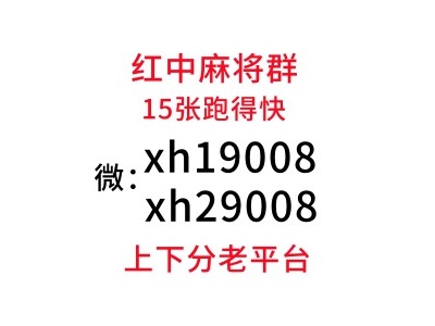 （团结）哪里有广东红中麻将一元一分群【必看教程】