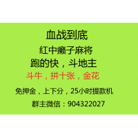 一元一分正规麻将群