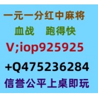 万众瞩目一元一分跑得快红中麻将固定更新升级