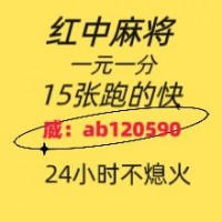 彼岸花24小时1元1分麻将群全面升级