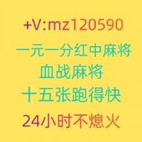 街头巷尾红中麻将跑得快群@无押金