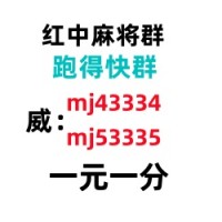 （亲友群）广东红中一元麻将群（24h营业）