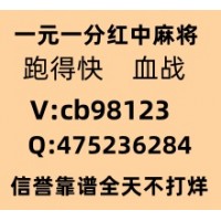 摘叶飞花广东红中麻将跑得快一元一分火爆在线