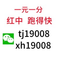 【必看教程】哪里有5毛一块红中麻将微信群（认真）