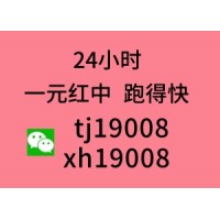 【详细了解】24小时1块跑得快群