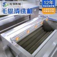 毛辊去泥去皮清洗机 萝卜去泥清洗机 生姜红薯去皮清洗机
