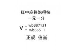 红中麻将，一元一分，加薇wb66511，让你在游戏中找到快乐！