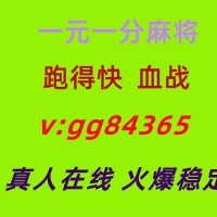 真人对战一元一分跑的快血战效率麻将24小时不熄火