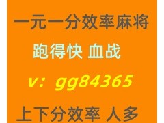 真人对战一元一分跑的快血战效率麻将24小时不熄火