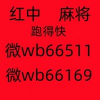 《普及一下》红中麻将群24小时不熄火(今日/知乎)