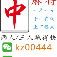 甲亢哥一元一分广东红中麻将跑得快上下分模式优酷视频