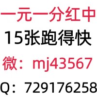 24小时一元一分红中麻将群怎么找