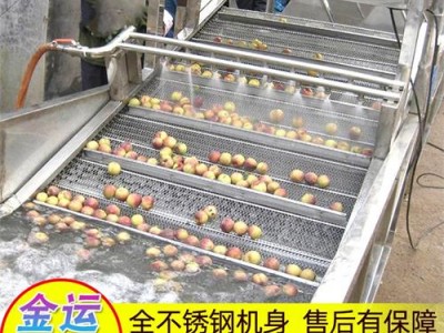 可定制气泡清洗机 净菜加工流水线 菠菜油菜黄瓜芹菜洗菜机图1