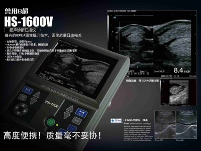 日本进口兽用B超 HS-1600V图2