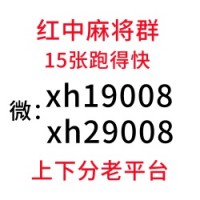 （潇洒）哪里有手机红中麻将群（详细了解）