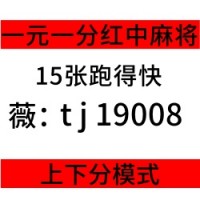 （自信）哪里有广东红中麻将一元一分群【全新】