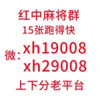 （团结）一元一分上下分正规麻将群【必看教程】