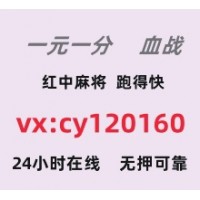 2025好玩平台红中麻将群跑得快一元一分完美更新