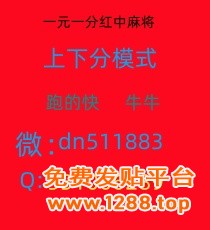 Image_288860960249986